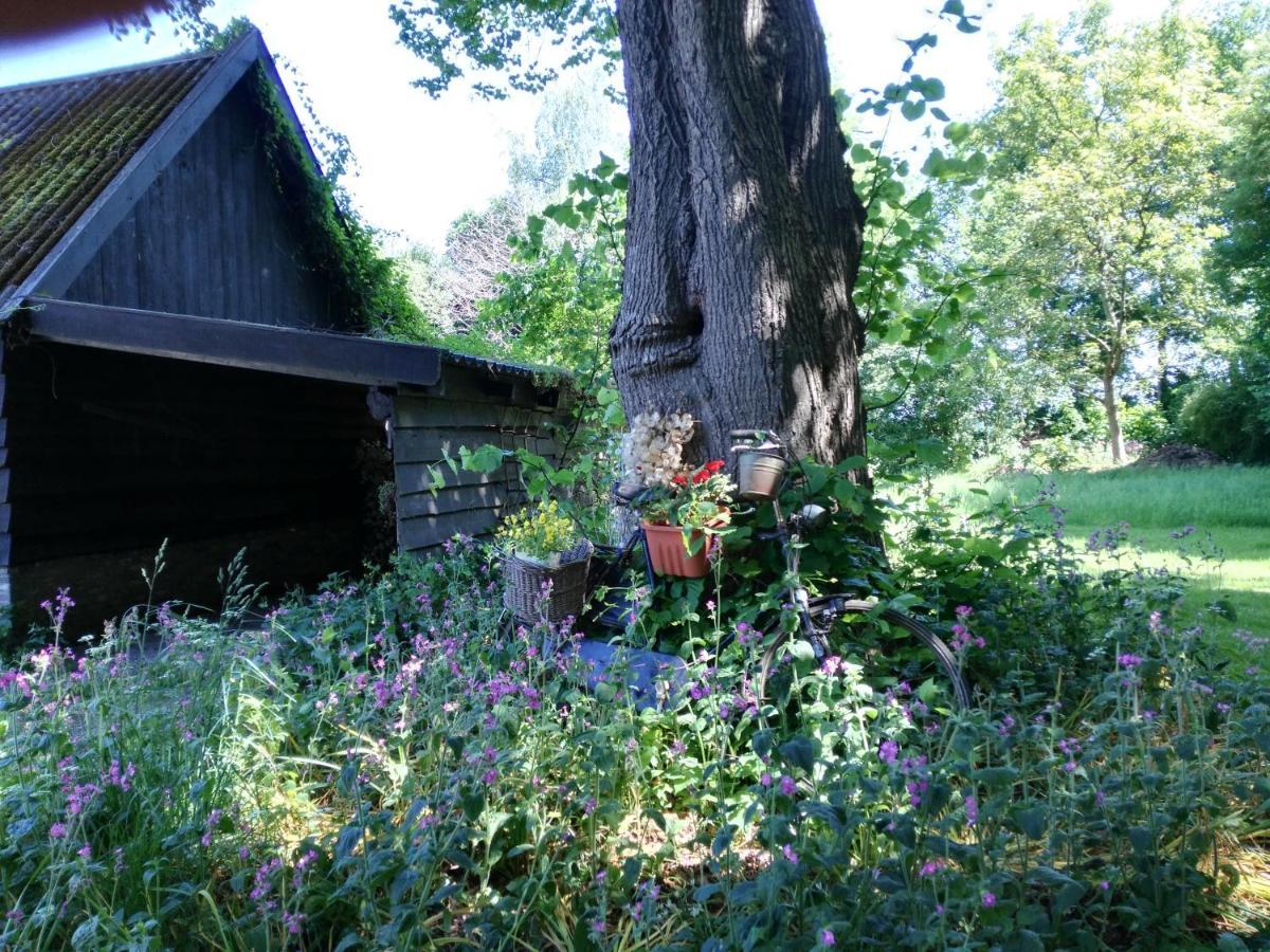 Onder De Linde, Rust, Natuur En Privacy Apartman Benneveld Kültér fotó